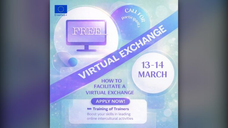 International training to facilitate Virtual Exchange sessions