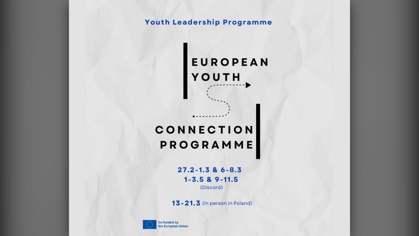 Curs de formare online: Leadership și facilitare pentru tineret