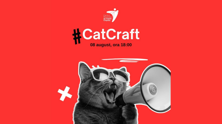 Do you have a cat? For International Cat Day, make your cat a handmade toy!